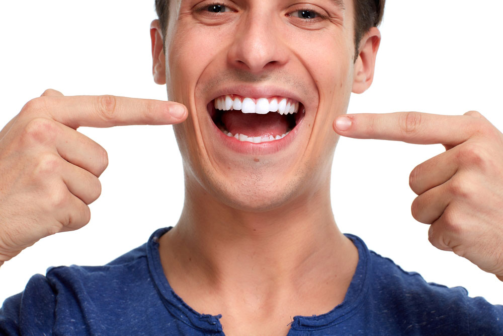Placa Dental Endodoncia Avanzada